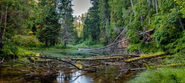 Cīrulīši loodusrajad