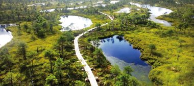 Suur Ķemeri Moori jalakäijate sild