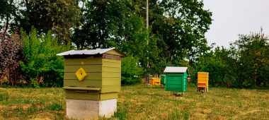 Läti mesindusajaloo muuseum