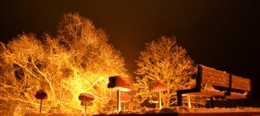 Grobina linnaosa kivilood