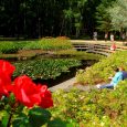 Ventspils-jūrmalas-parks1