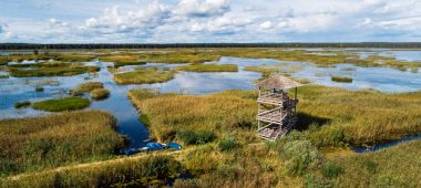 Sedas purvs looduskaitseala