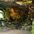 Daugavpils-zoo