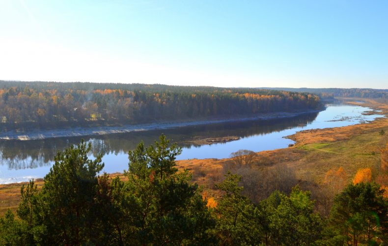 Skats-no-Vasagelišķu-skatu-torņa