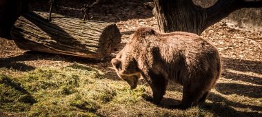 Riia loomaaia filiaal “Cīruļi”