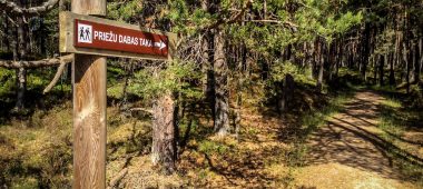 Kolkasraga männi rada