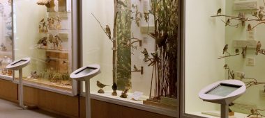 Läti Riiklik Loodusmuuseum