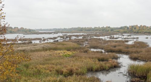 Salaspils-Doles-salas-dabas-parks-II-669x272