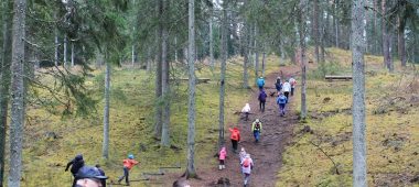 Certene lossiküngas