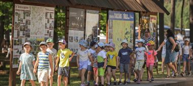 LVM looduspark Tērvete linnas