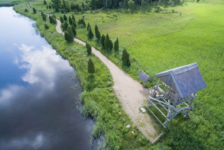 Kaņierise järve linnuvaatlustorn