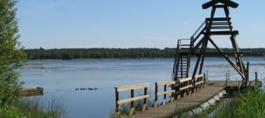 Sloka järve jalgsimatkarada