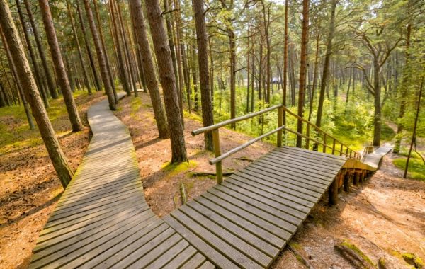 Jūrmala-raga_kapa