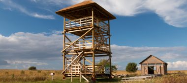 Randi Niidu rada, linnuvaatlustorn