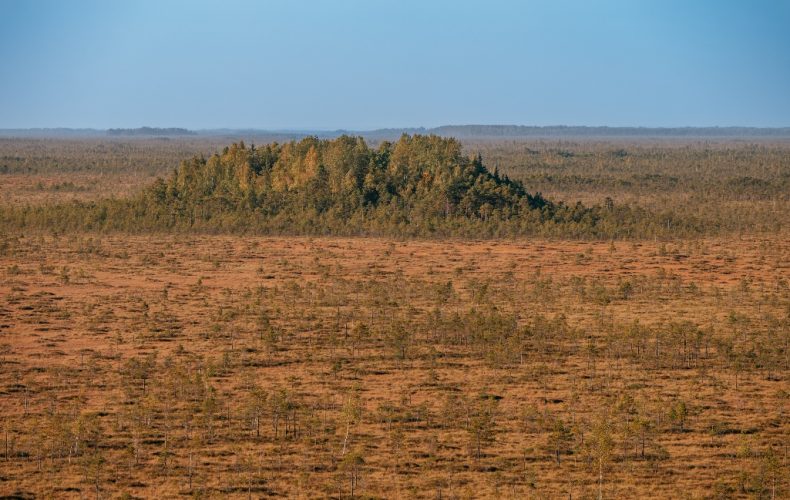 Kristakrūga skatu tornis (4)