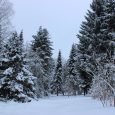 Lēdurgas-dendroparks1
