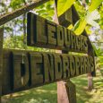 Ledurgas-Dendro-parks-126-scaled