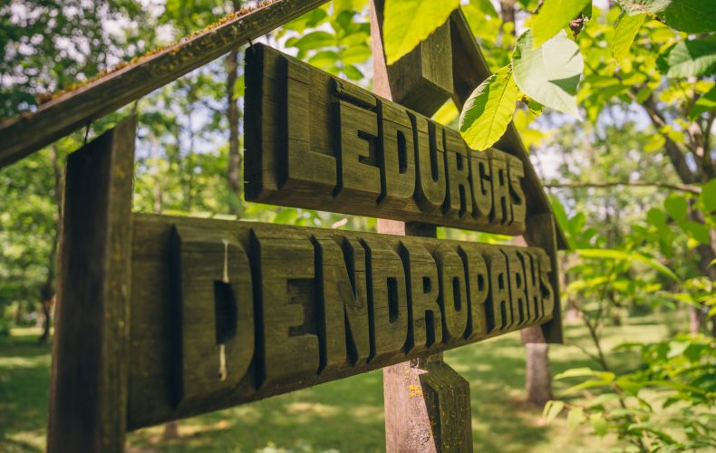 Ledurgas-Dendro-parks-126-scaled