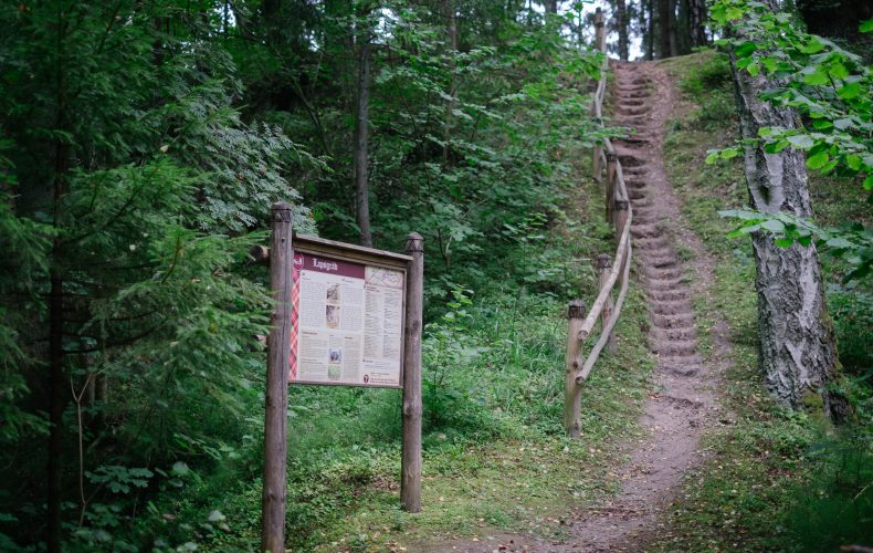 Alsunga-zibgravas-3