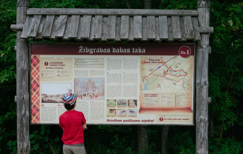 Alsunga-zibgravas-4