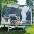 Lielvārde-trušu karaliste
