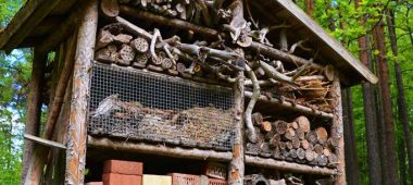 Loodusraja “Lustiņdruva”