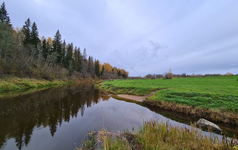 daugenu-dabas-taka-visit-valmiera-3