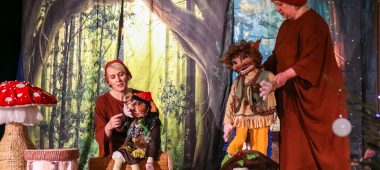 “Tuhkatriinu unenägu”