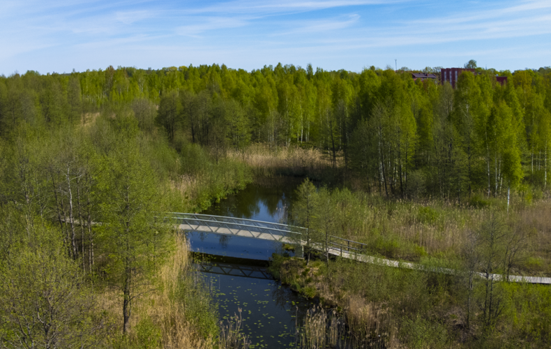 DJI_0675