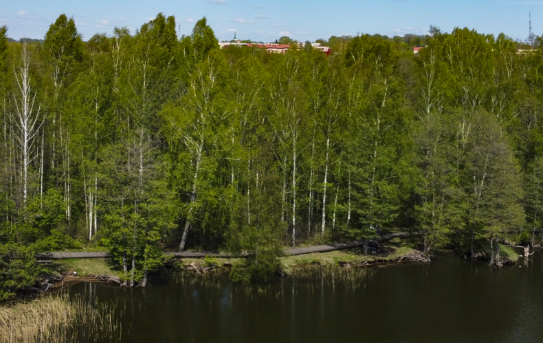 DJI_0970 copy_2