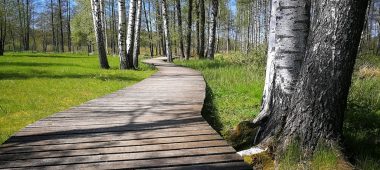 Limbaži Lielezeri loodusrada