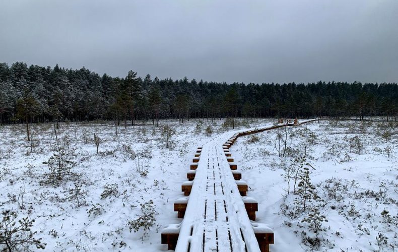 Ropaži-lielie-Kangari6