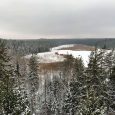 Ropaži-lielie-kangari9