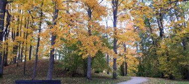 Mäng – matk “Preiļi Park Beech Tree Trail”