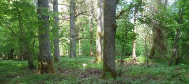 Looduskaitseala “Ukru gārša”