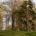 Rūjiena-Ternejas parks (1)