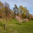 Rūjiena-Ternejas parks (3)