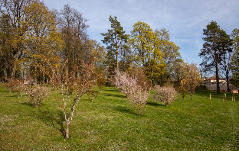 Rūjiena-Ternejas parks (3)