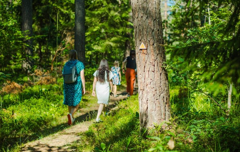Zilaiskalna-veselības-taka-skatu-tornis-visitvalmiera (7)