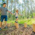 Zilaiskalna-veselības-taka-skatu-tornis-visitvalmiera (8)