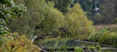 Ruja üleujutusala rada koos vaateplatvormiga