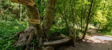 Kalnsēta park ja jalutuskäigutee “Kunsti, muusika ja armastuse tee”