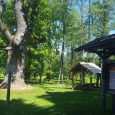 Remtes muižs parks 2