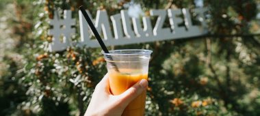 Hariv ja maitsev seiklus astelpaju aias