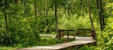 Armastusraja Viesīte’s