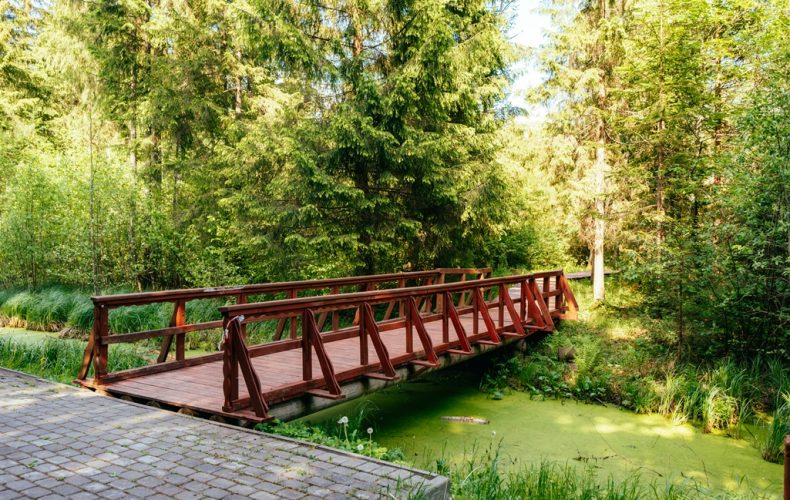 Mīlestības taka. Kaspars Siliņš (5)