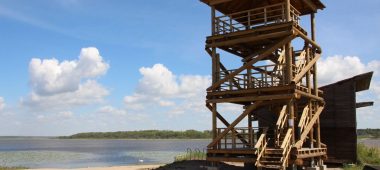 Durbe järve vaatetorn