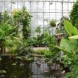 Botaniskais_darzs_015