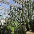 Botaniskais_darzs_019