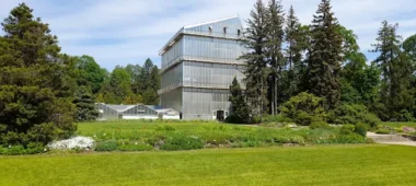 Läti Ülikooli botaanikaaed